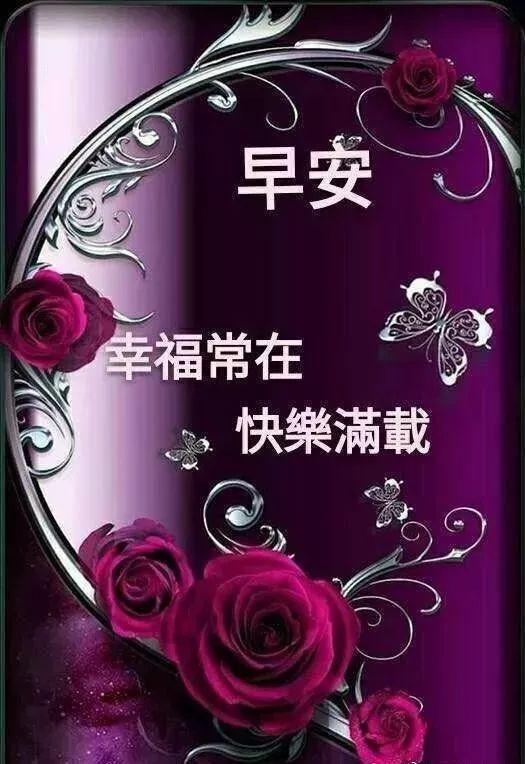 微信电脑版更新指南，详细步骤教程