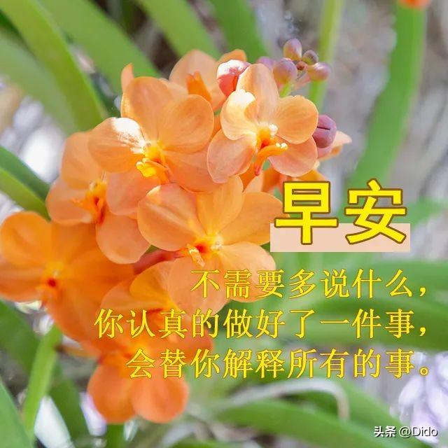 温馨日常欢乐时光的最新动态