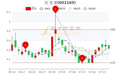 红宝丽股票，时代的印记与领域的领航者风采