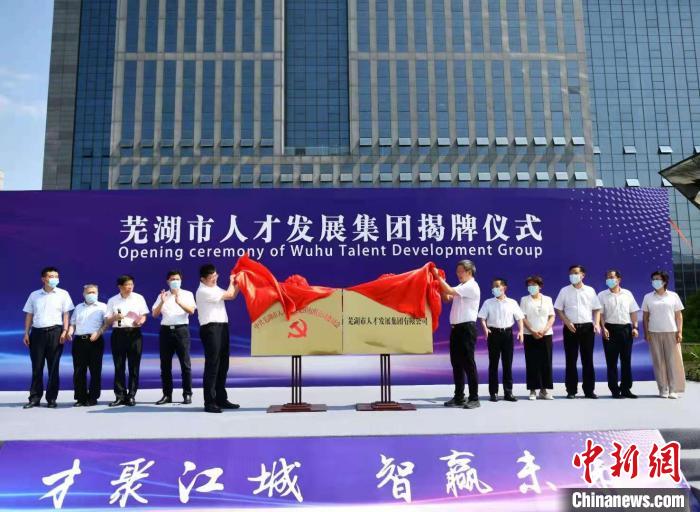 芜湖县人才招聘信息，梦想起航，未来等你展翅职场之路