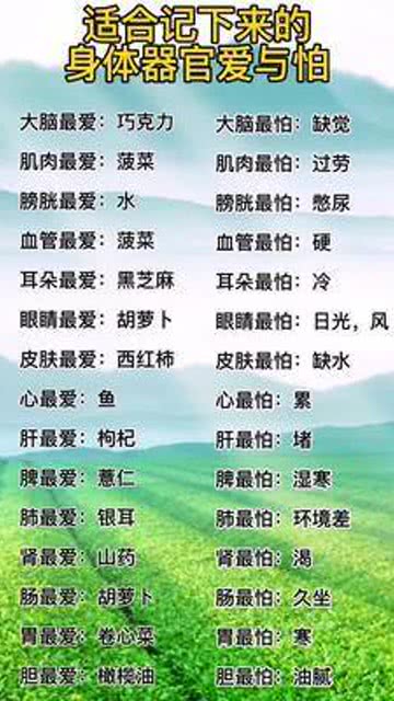 2024澳门天天开好彩免费大全,专家意见法案_养生版78.140
