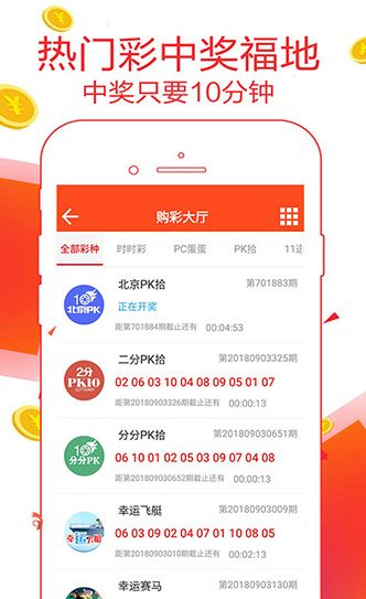 新澳门王中王六肖中特,高效性设计规划_味道版15.833