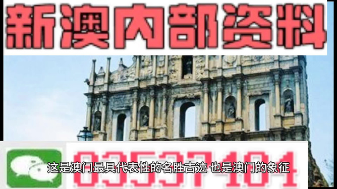 新澳门资料大全正版资料2024年免费下载,家野中特,现象分析定义_复古版43.591