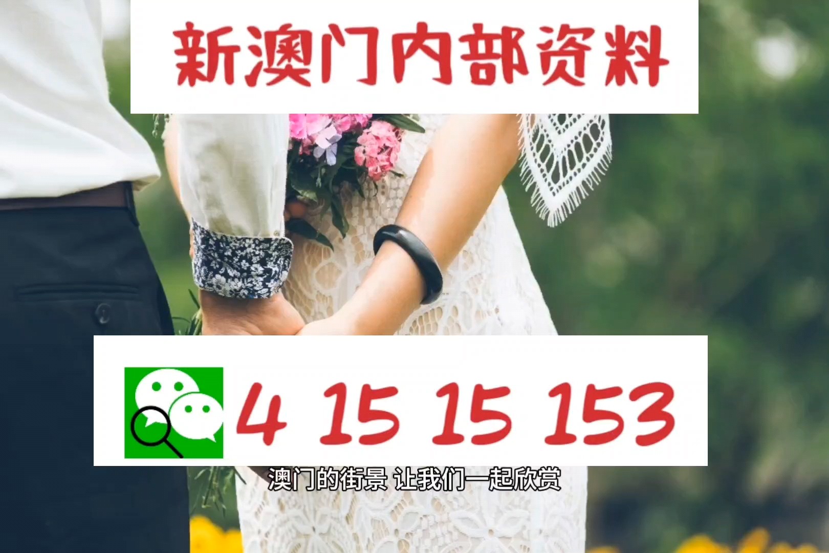 澳门三期内必开三肖,全面实施策略设计_改进版4.584