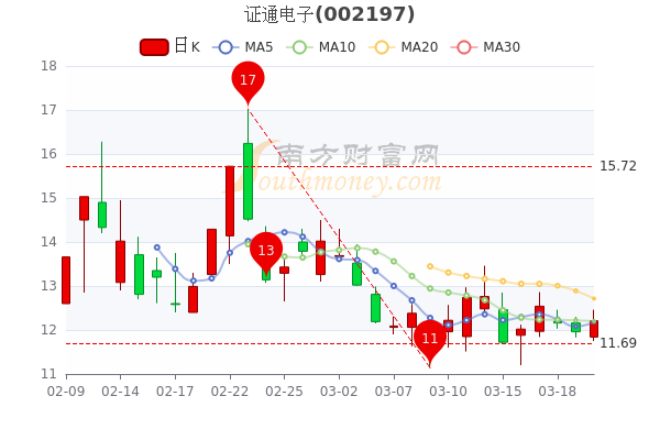 证通电子股票价格回顾与洞察，深度解析及市场趋势分析