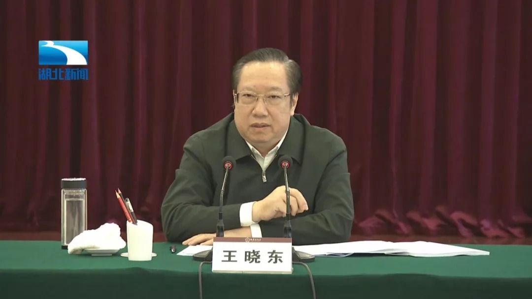 都市放牛演员王晓东，演技与多维影响力的深度解读