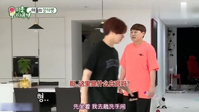金俊昊，音乐巨星的崛起与深远影响