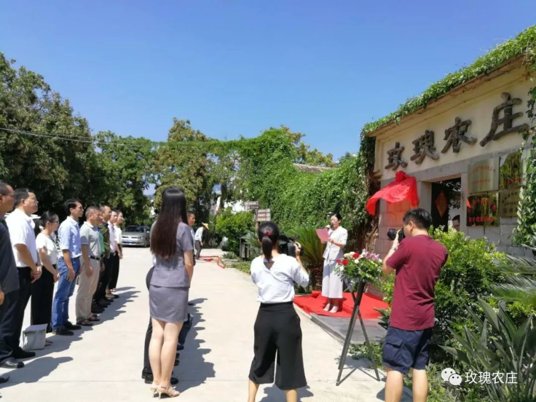 长泰人才网古农农场最新职位招聘大揭秘，小巷深处的特色小店等你来探索！