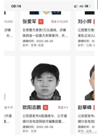 科技重塑防线，网络通缉犯名单更新，未来安全守护行动启动