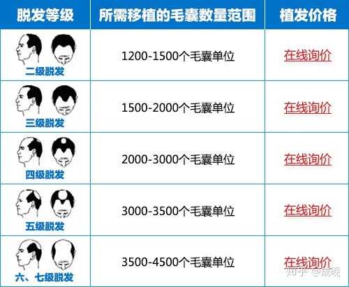 种头发的价格之旅，探寻价格与自然的浪漫遨游