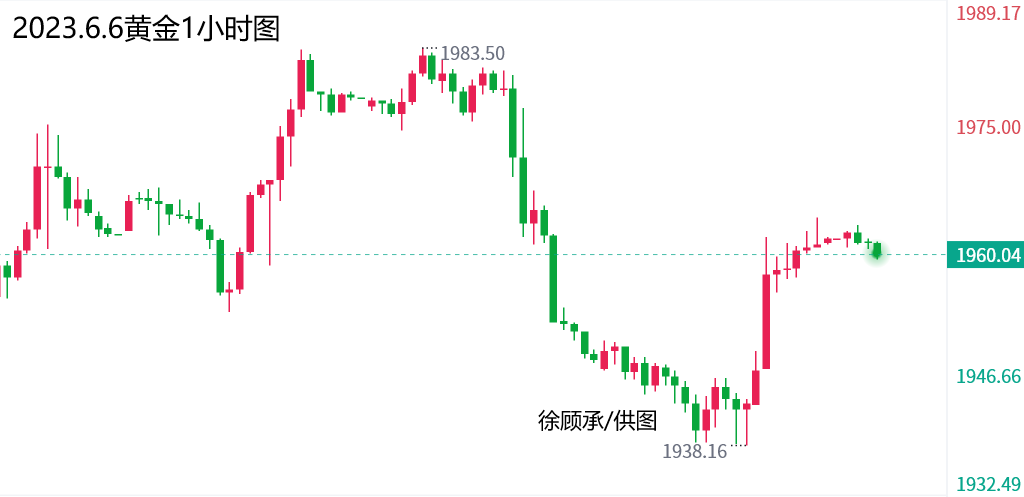 探寻时代脉络中的新动向，最新走势分析建议与洞察