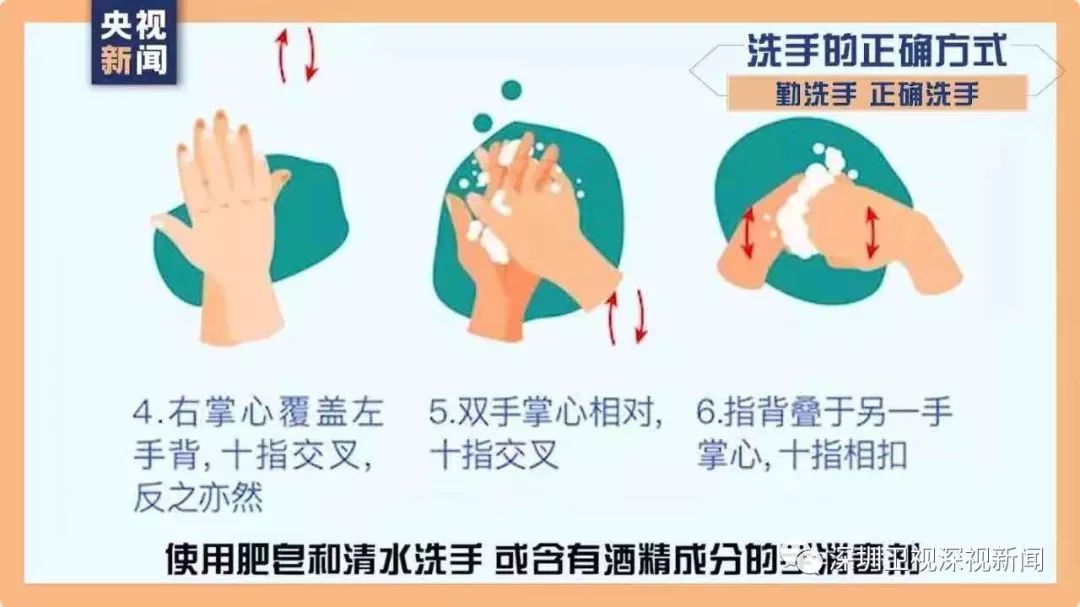 冠状最新动态，背景、进展与全球影响