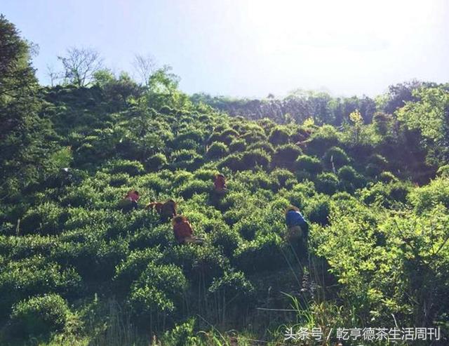 宣城新冠病毒防护指南，最新防护策略及应对方法