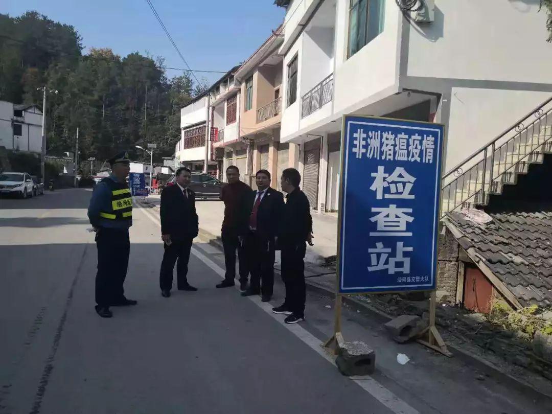 最新非洲疫情动态及应对步骤指南