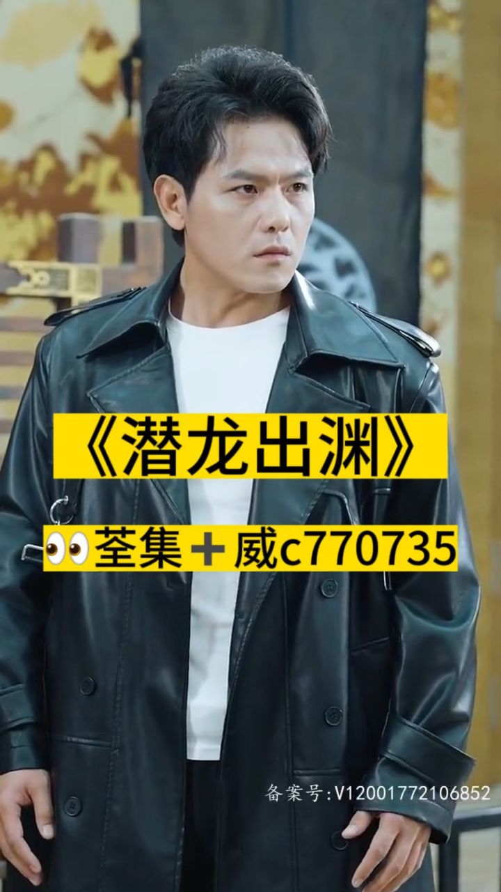 淘龙最新视频，日常趣事与爱之陪伴