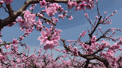 榆中县新世界最新房价,梦想跃动的起点