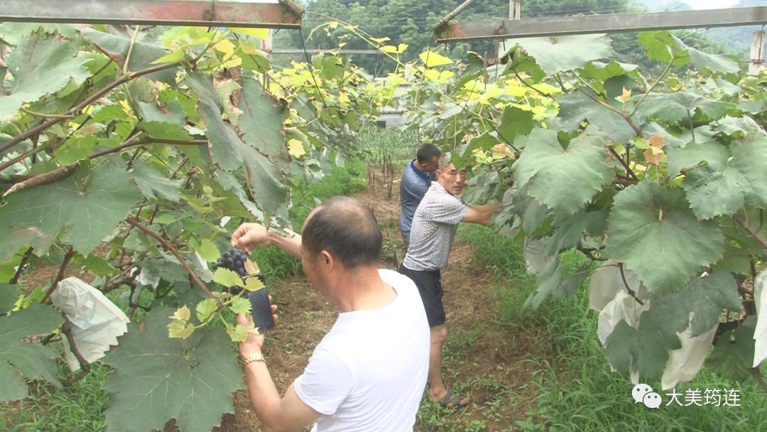 筠连巡司新闻最新动态更新