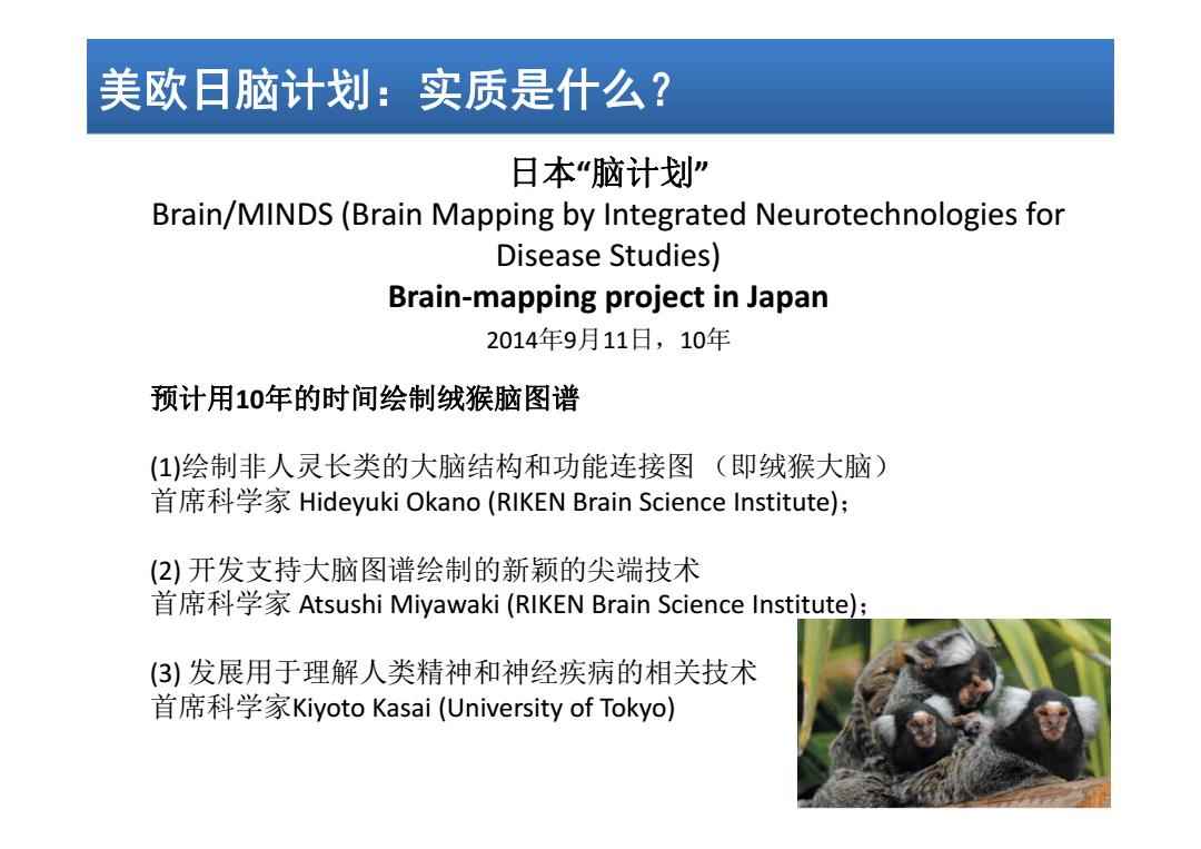 日本脑计划最新进展揭秘,温馨日常的新突破