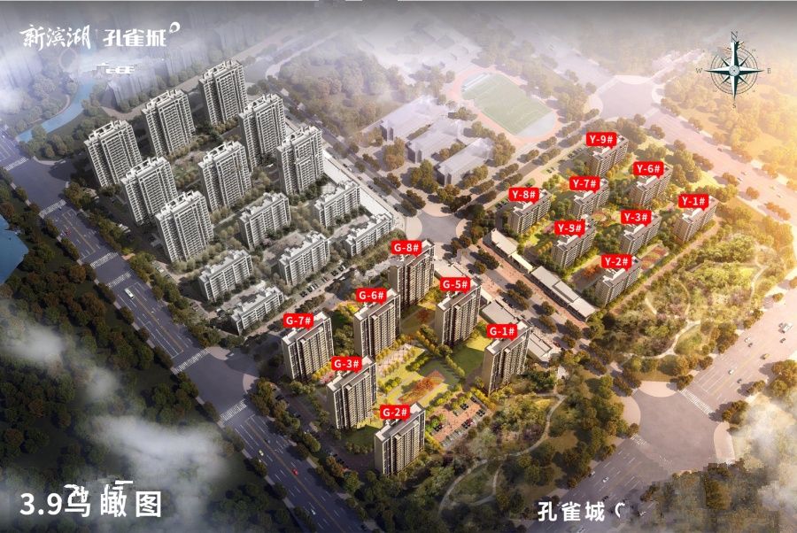 新滨湖孔雀城最新动态揭秘📣🎉