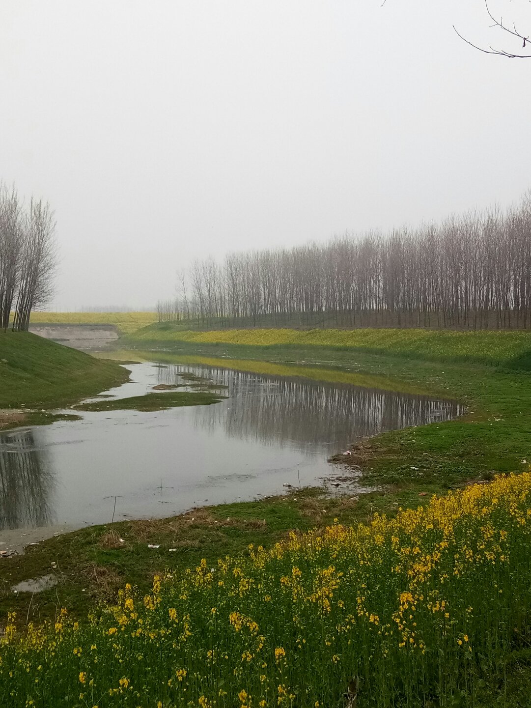 平舆县天气预报更新,阳光与气象变化带来自信与力量