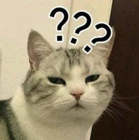 兔牙喵喵喵梦幻艺术之旅,最新作品展现独特魅力