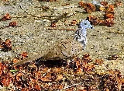 金属冲压模具的加工销售 第12页