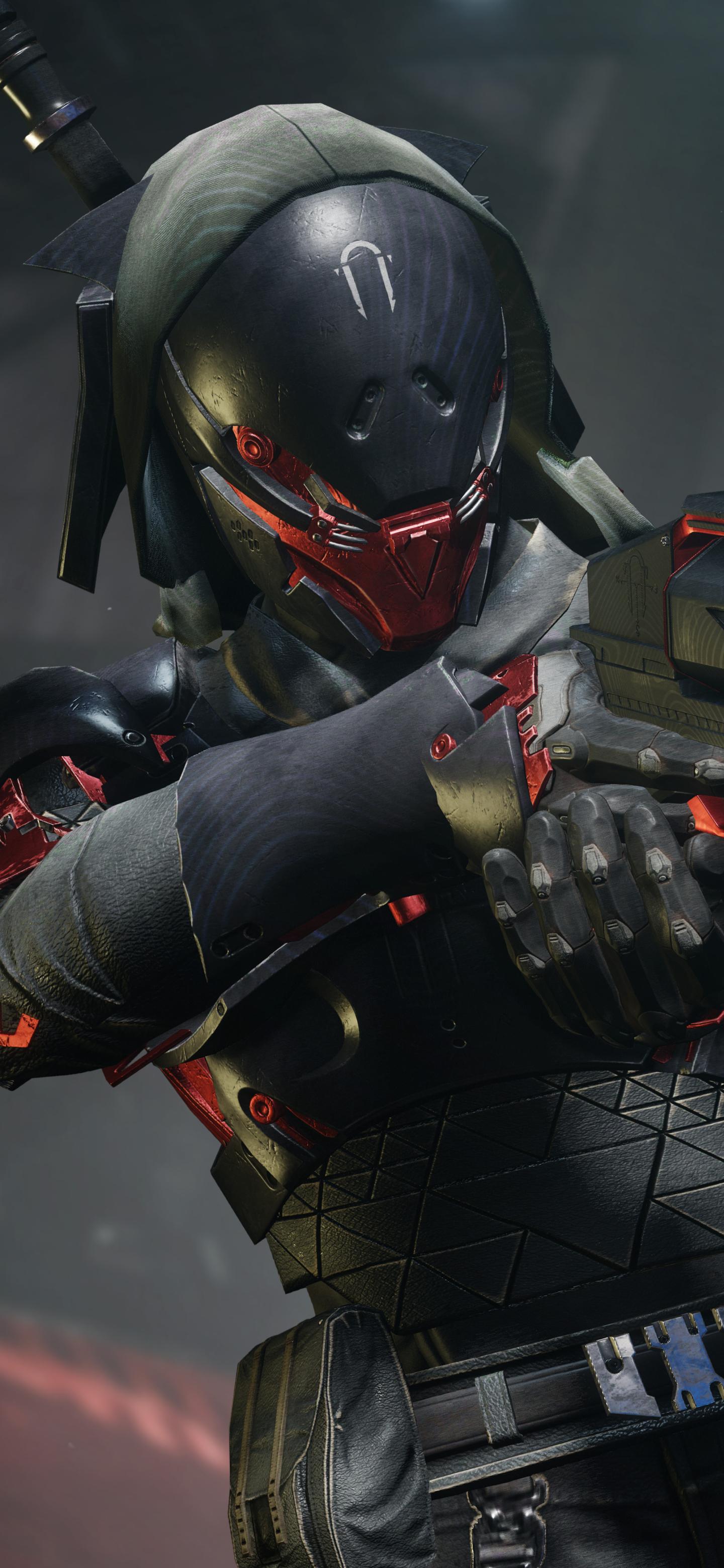 命运2国服最新动态,玩家热切期待的更新与未来展望