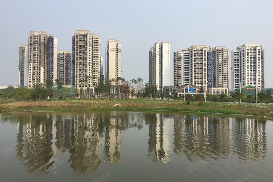 成都天府城邦最新动态,城市变迁中的共同成长之路