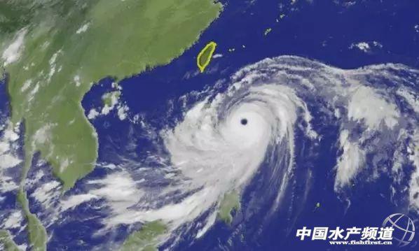 华南海域最新天气预报更新