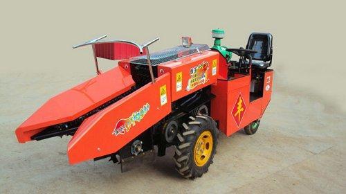 最新款玉米收割机技术革新与实际应用探讨视频专区揭秘!