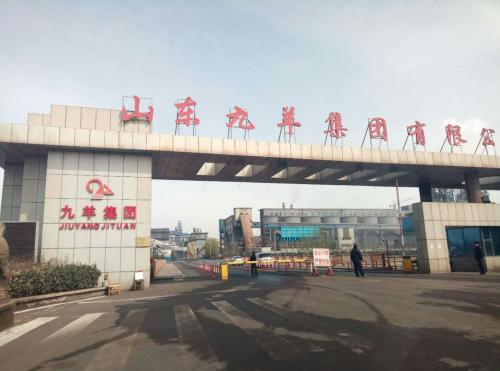 山东九羊公司蓬勃发展,引领行业新潮流,最新消息揭秘发展动态