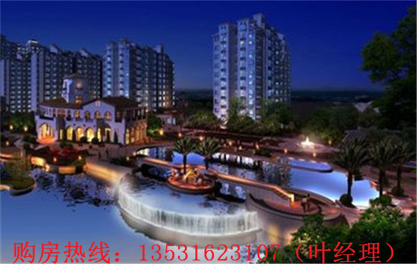 大亚湾罗建强最新消息,深度解析各方观点与个人立场阐述